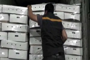 Mersin`de 110 ton kaçak et ele geçirildi