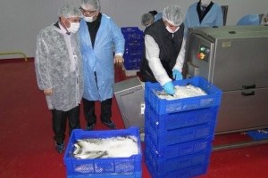 Kırsal Kalkınma Yatırımından Yararlandı, Ekonomiye Katkıda Bulunuyor