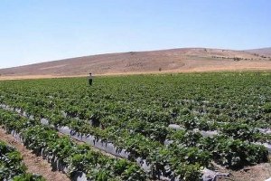 Kırsal Kalkınmada 8.Etap Tamamlandı