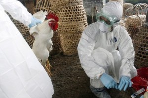 Tunceli`de Kuş Gribi Bilgilendirme Toplantısı