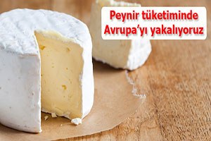 Kişi başına peynir tüketiminde Avrupa ortalamasını yakalıyoruz