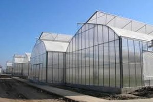 Hollanda`nın Ankara Büyükelçisi Keller, Seraları Gezdi