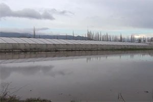 Ortaca`da Tarım Arazileri ve Narenciye Bahçelerini Su Bastı