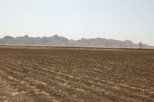 Tarım Arazileri Son 10 Yılda 2,8 Milyon Hektar Azaldı