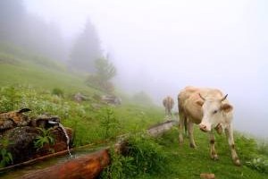 6. `Tarım ve İnsan` Fotoğraf Yarışması