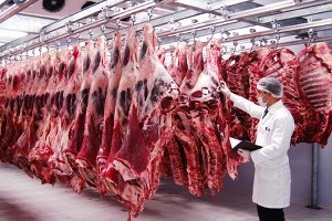 Gurbetçiden Memleketi Aksaray`a 5 Milyon Liralık Yatırım