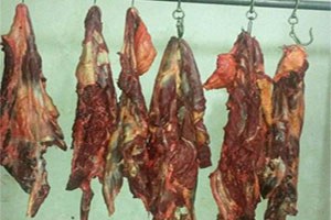 Bursa`da At Eti Operasyonu