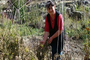 Ermenistan tarımına 25 milyon Avro`luk destek Paylaş