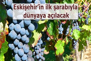 Eskişehir`in ilk şarabıyla dünyaya açılacak