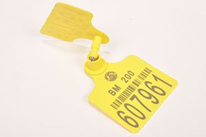 Sığırları, Damızlık Sığır Yetiştiricileri Birliği Küpeleyecek