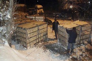 Kar, 12 bin 500 Tavuğa Mezar Oldu