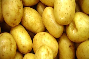 Kıbrıs`lı Patates üreticisine ek süre