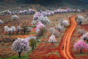 Tarım, ekonomiyi 2015`te de `don`duracak mı?