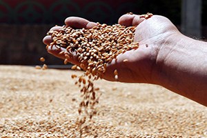 III. Uluslararası Tohumculuk Çalıştayı