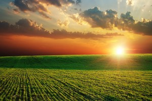 Türkiye ekonomisine 2014`te tarım damgasını vurdu