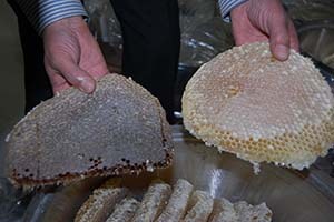 Üreticilerin Sahte Bal İsyanı