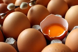 Yumurta ihracatının yüzde 81`i Irak`a