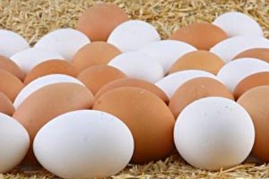 Zirai Dondan Canı Yanan Üreticinin Yüzü Yumurtayla Güldü