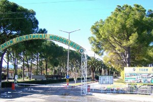 460 Ton Koyun Sütü Açık Artırma ile Satılacak