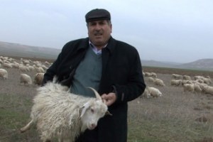 Koyun Eti Üretimi Azaldı