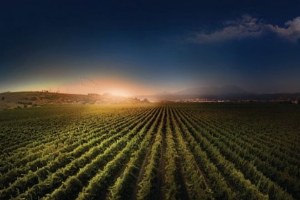 Huawei`den Türk Tarımına Bilişim Desteği