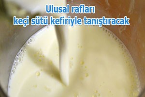 Radoha, ulusal rafları keçi sütü kefiriyle tanıştıracak