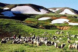 Erzurum`da Meralar Kiraya Verilecek