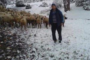 Milas`ta Hayvan Hırsızlarına Kameralı Çözüm