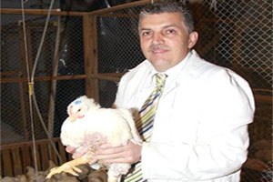 Türkiye`de Organik ve Hormonlu Tavuk Eti Yok