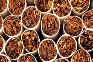 Sözleşmeli Tütün Üreticilerine Düzenleme