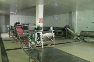 Tkdk`dan Su Ürünlerine Büyük Destek