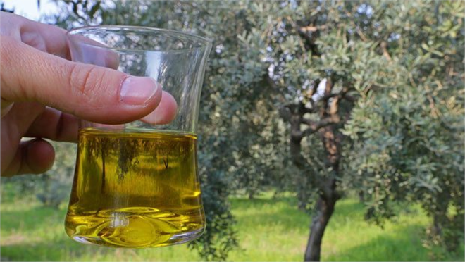 Zeytinyağında sahteciliğe hapis cezası önerisi