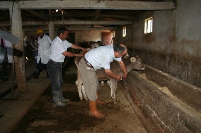 Aşılama Kampanyaları Başladı