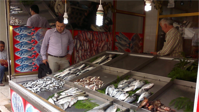 Fatsa`da Su Ürünleri Av Yasakları
