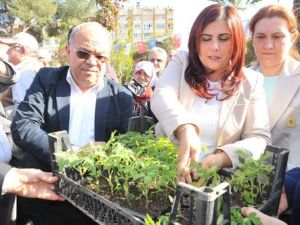 Aydın`da Yerel 30 Bin FİDE Dağıtımına Başlandı