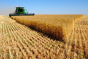 Uzakdoğu`dan İthal Edilen İplik ve Çapa Makinalarına Ek Vergi