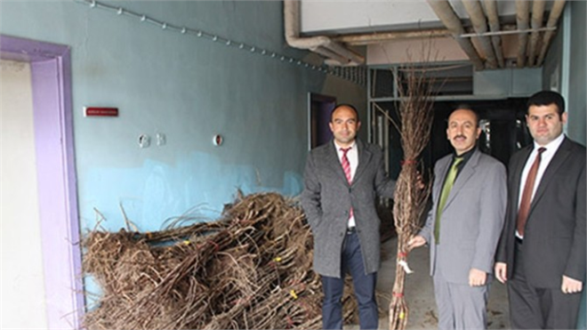 Gıda, Tarım ve Hayvancılık Müdürlüğü Fidan Dağıttı