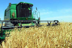 İzmir`de Kırsal Kalkınma Yatırımlarına Rekor Destek