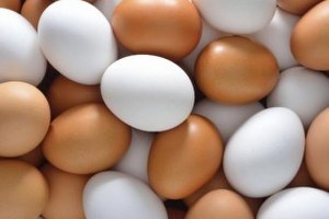 Yumurtada mide bulandıran oyun