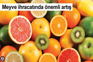 Yunanistan`ın meyve ihracatında önemli artış