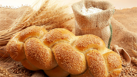 `Ekmek ile sağlığımızı bozdular`