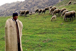 5 bin lira maaş var işçi yok!