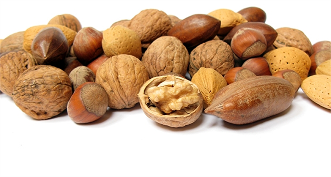 Sert kabuğun içindeki mucize!