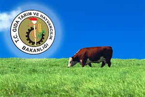 10 Bin Koloni Kafkas Arısına ve 28 Bin Anadolu Mandasına Destek