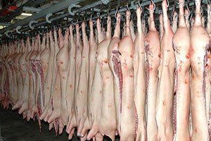 İngiltere`de Süpermarket `Helal` Damgalı Domuz Ürünü Sattı