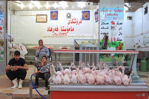 Irak Kürt Bölgesi Türkiye`den Tavuk Eti İthalatını Yasakladı