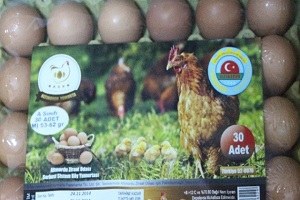 Köy Tavuğu Projesi Yaygınlaşıyor