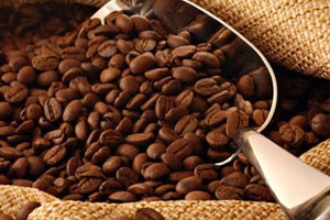 Küresel ısınma kahve üretimini tehdit ediyor