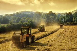 Tarımsal danışmanlığa 600 lira destek!