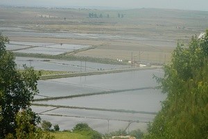 Hamzadere Barajı Trakya`nın tarımsal umudu oldu
